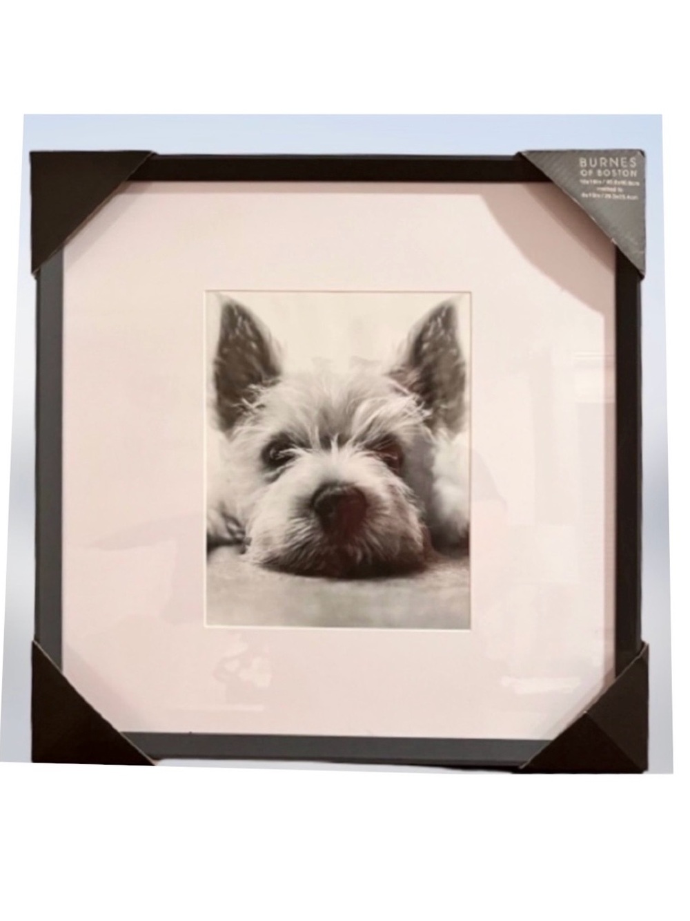 🆕- Burnes of Boston 16x16 Black Gallery Picture Frame.
